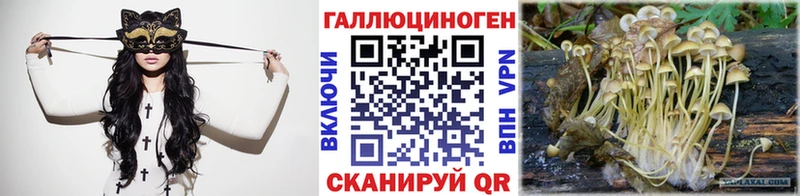 наркотики  мега зеркало  Галлюциногенные грибы Psilocybe  Электросталь 